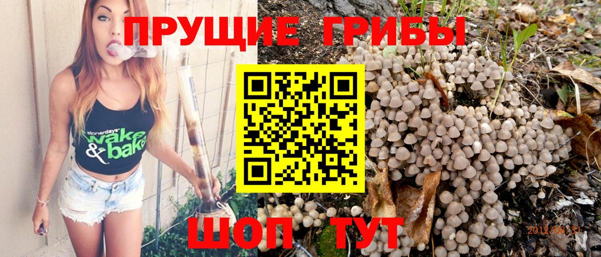 Приморско-Ахтарск  Галлюциногенные грибы Psilocybine cubensis  Вход с VPN 